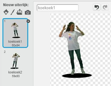 Sprite uit de bibliotheek